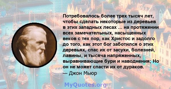 Потребовалось более трех тысяч лет, чтобы сделать некоторые из деревьев в этих западных лесах ... на протяжении всех замечательных, насыщенных веков с тех пор, как Христос и задолго до того, как этот бог заботился о