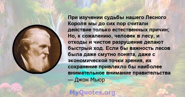 При изучении судьбы нашего Лесного Короля мы до сих пор считали действие только естественных причин; Но, к сожалению, человек в лесу, и отходы и чистое разрушение делают быстрый ход. Если бы важность лесов была даже