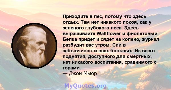 Приходите в лес, потому что здесь отдых. Там нет никакого покоя, как у зеленого глубокого леса. Здесь выращивайте Wallflower и фиолетовый. Белка придет и сядет на колено, журнал разбудит вас утром. Спи в забывчивости