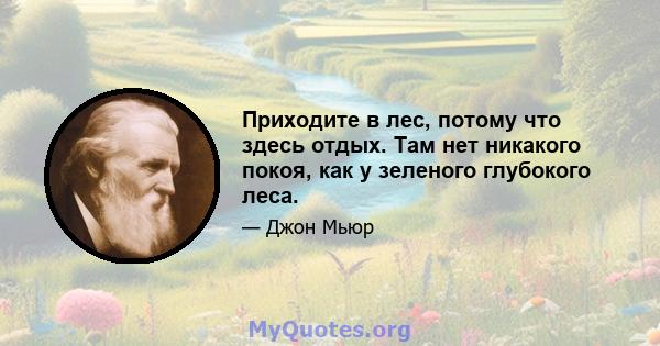 Приходите в лес, потому что здесь отдых. Там нет никакого покоя, как у зеленого глубокого леса.