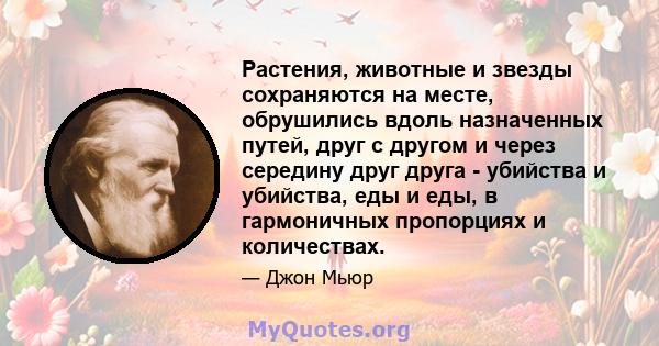 Растения, животные и звезды сохраняются на месте, обрушились вдоль назначенных путей, друг с другом и через середину друг друга - убийства и убийства, еды и еды, в гармоничных пропорциях и количествах.