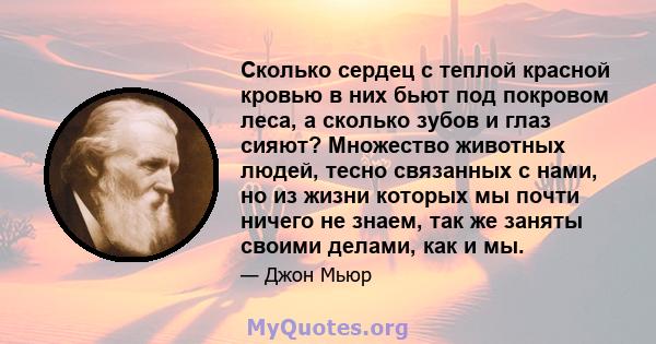 Сколько сердец с теплой красной кровью в них бьют под покровом леса, а сколько зубов и глаз сияют? Множество животных людей, тесно связанных с нами, но из жизни которых мы почти ничего не знаем, так же заняты своими