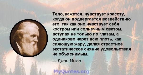 Тело, кажется, чувствует красоту, когда он подвергается воздействию его, так как оно чувствует себя костром или солнечным светом, вступая не только по глазам, а одинаково через всю плоть, как сияющую жару, делая