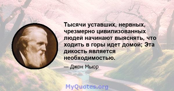 Тысячи уставших, нервных, чрезмерно цивилизованных людей начинают выяснять, что ходить в горы идет домой; Эта дикость является необходимостью.