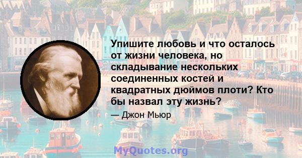 Упишите любовь и что осталось от жизни человека, но складывание нескольких соединенных костей и квадратных дюймов плоти? Кто бы назвал эту жизнь?