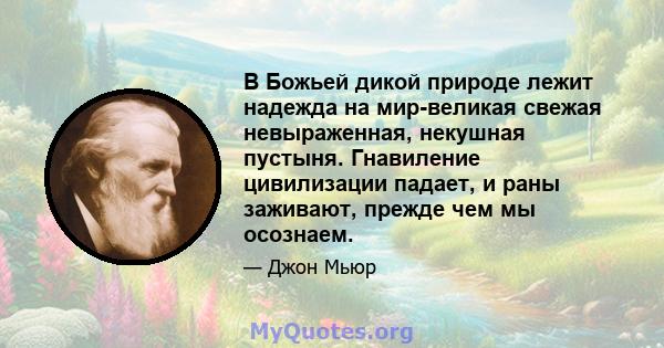 В Божьей дикой природе лежит надежда на мир-великая свежая невыраженная, некушная пустыня. Гнавиление цивилизации падает, и раны заживают, прежде чем мы осознаем.