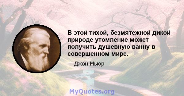 В этой тихой, безмятежной дикой природе утомление может получить душевную ванну в совершенном мире.