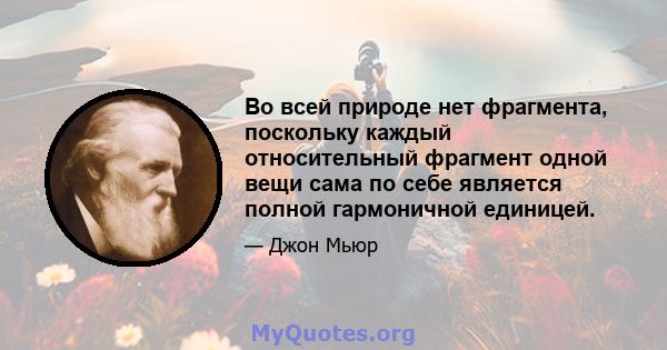 Во всей природе нет фрагмента, поскольку каждый относительный фрагмент одной вещи сама по себе является полной гармоничной единицей.