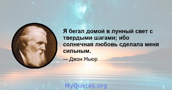 Я бегал домой в лунный свет с твердыми шагами; ибо солнечная любовь сделала меня сильным.