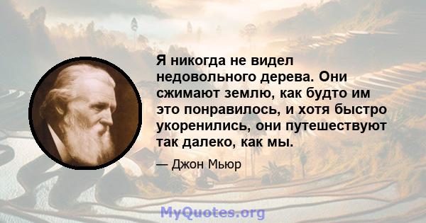 Я никогда не видел недовольного дерева. Они сжимают землю, как будто им это понравилось, и хотя быстро укоренились, они путешествуют так далеко, как мы.