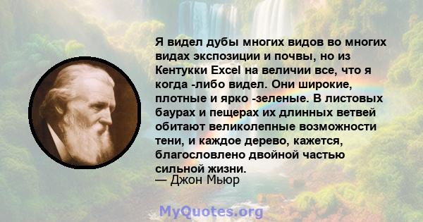 Я видел дубы многих видов во многих видах экспозиции и почвы, но из Кентукки Excel на величии все, что я когда -либо видел. Они широкие, плотные и ярко -зеленые. В листовых баурах и пещерах их длинных ветвей обитают