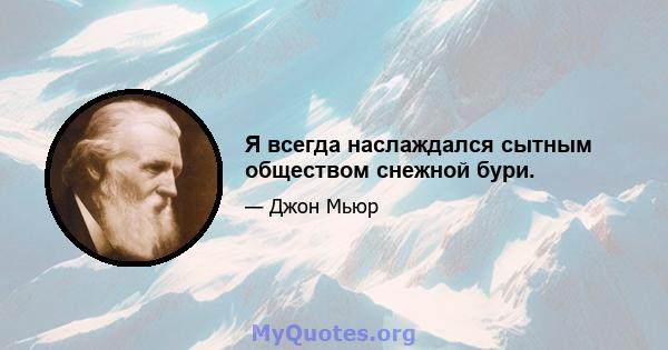 Я всегда наслаждался сытным обществом снежной бури.