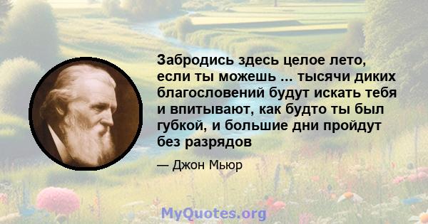 Забродись здесь целое лето, если ты можешь ... тысячи диких благословений будут искать тебя и впитывают, как будто ты был губкой, и большие дни пройдут без разрядов