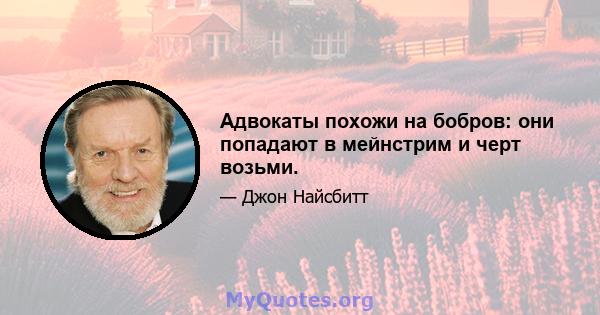 Адвокаты похожи на бобров: они попадают в мейнстрим и черт возьми.