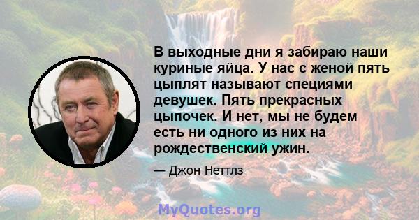 В выходные дни я забираю наши куриные яйца. У нас с женой пять цыплят называют специями девушек. Пять прекрасных цыпочек. И нет, мы не будем есть ни одного из них на рождественский ужин.