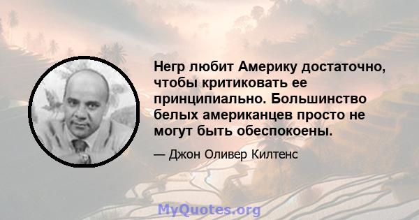 Негр любит Америку достаточно, чтобы критиковать ее принципиально. Большинство белых американцев просто не могут быть обеспокоены.