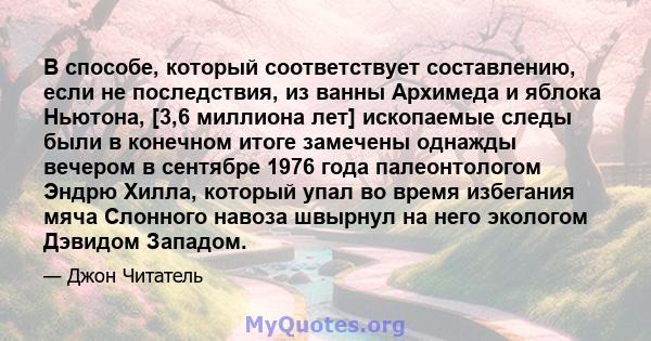 В способе, который соответствует составлению, если не последствия, из ванны Архимеда и яблока Ньютона, [3,6 миллиона лет] ископаемые следы были в конечном итоге замечены однажды вечером в сентябре 1976 года