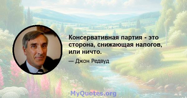 Консервативная партия - это сторона, снижающая налогов, или ничто.