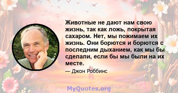 Животные не дают нам свою жизнь, так как ложь, покрытая сахаром. Нет, мы пожимаем их жизнь. Они борются и борются с последним дыханием, как мы бы сделали, если бы мы были на их месте.