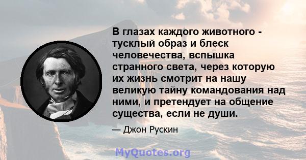 В глазах каждого животного - тусклый образ и блеск человечества, вспышка странного света, через которую их жизнь смотрит на нашу великую тайну командования над ними, и претендует на общение существа, если не души.