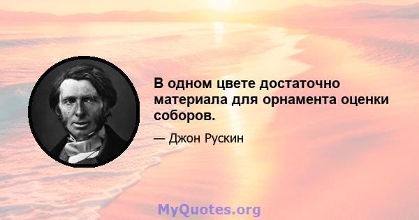 В одном цвете достаточно материала для орнамента оценки соборов.