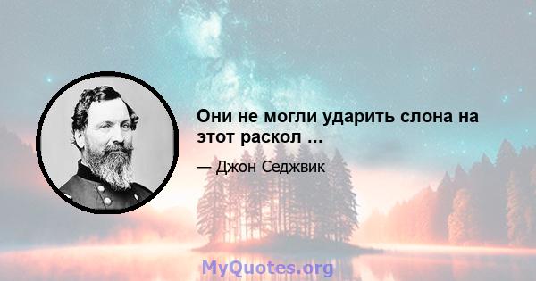 Они не могли ударить слона на этот раскол ...