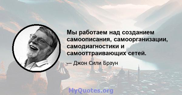 Мы работаем над созданием самоописания, самоорганизации, самодиагностики и самооттраивающих сетей.