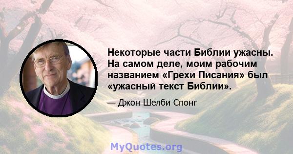 Некоторые части Библии ужасны. На самом деле, моим рабочим названием «Грехи Писания» был «ужасный текст Библии».