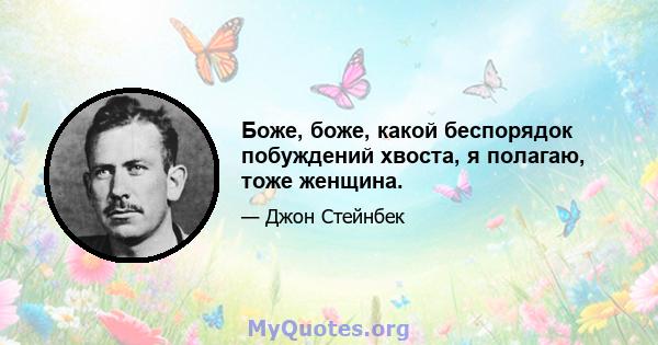 Боже, боже, какой беспорядок побуждений хвоста, я полагаю, тоже женщина.