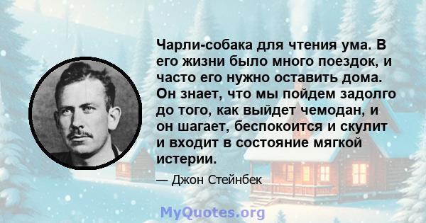 Чарли-собака для чтения ума. В его жизни было много поездок, и часто его нужно оставить дома. Он знает, что мы пойдем задолго до того, как выйдет чемодан, и он шагает, беспокоится и скулит и входит в состояние мягкой