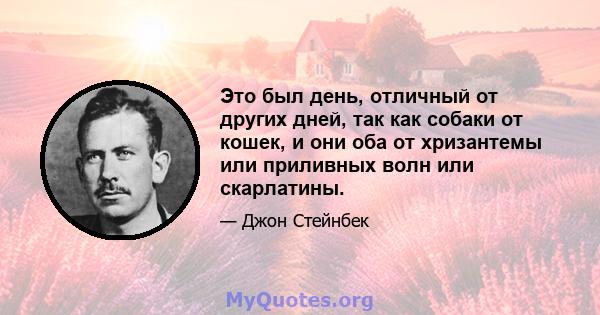 Это был день, отличный от других дней, так как собаки от кошек, и они оба от хризантемы или приливных волн или скарлатины.