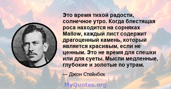 Это время тихой радости, солнечное утро. Когда блестящая роса находится на сорняках Mallow, каждый лист содержит драгоценный камень, который является красивым, если не ценным. Это не время для спешки или для суеты.