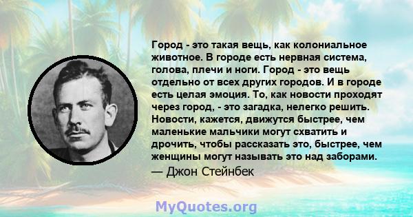 Город - это такая вещь, как колониальное животное. В городе есть нервная система, голова, плечи и ноги. Город - это вещь отдельно от всех других городов. И в городе есть целая эмоция. То, как новости проходят через