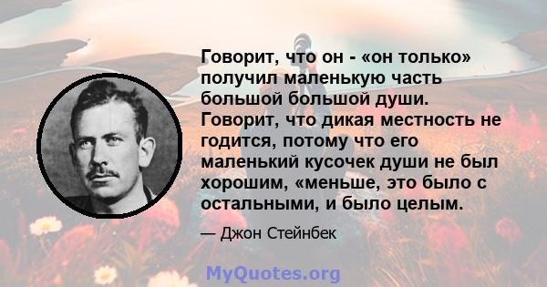 Говорит, что он - «он только» получил маленькую часть большой большой души. Говорит, что дикая местность не годится, потому что его маленький кусочек души не был хорошим, «меньше, это было с остальными, и было целым.