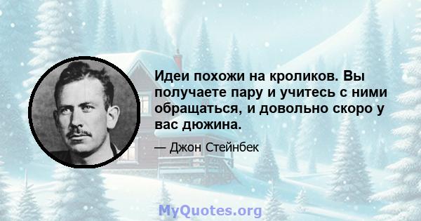 Идеи похожи на кроликов. Вы получаете пару и учитесь с ними обращаться, и довольно скоро у вас дюжина.