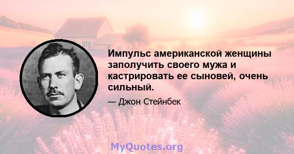 Импульс американской женщины заполучить своего мужа и кастрировать ее сыновей, очень сильный.