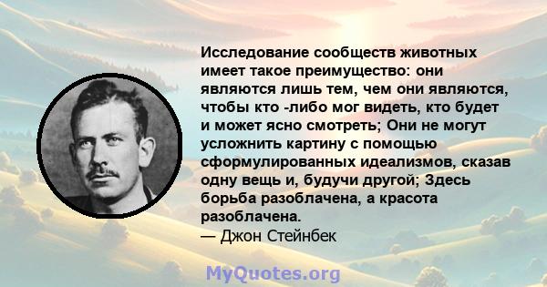 Исследование сообществ животных имеет такое преимущество: они являются лишь тем, чем они являются, чтобы кто -либо мог видеть, кто будет и может ясно смотреть; Они не могут усложнить картину с помощью сформулированных