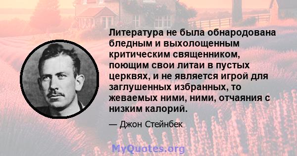 Литература не была обнародована бледным и выхолощенным критическим священником, поющим свои литаи в пустых церквях, и не является игрой для заглушенных избранных, то жеваемых ними, ними, отчаяния с низким калорий.