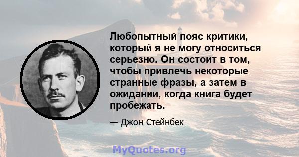 Любопытный пояс критики, который я не могу относиться серьезно. Он состоит в том, чтобы привлечь некоторые странные фразы, а затем в ожидании, когда книга будет пробежать.