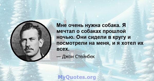 Мне очень нужна собака. Я мечтал о собаках прошлой ночью. Они сидели в кругу и посмотрели на меня, и я хотел их всех.