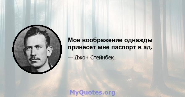 Мое воображение однажды принесет мне паспорт в ад.