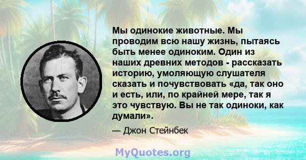 Мы одинокие животные. Мы проводим всю нашу жизнь, пытаясь быть менее одиноким. Один из наших древних методов - рассказать историю, умоляющую слушателя сказать и почувствовать «да, так оно и есть, или, по крайней мере,