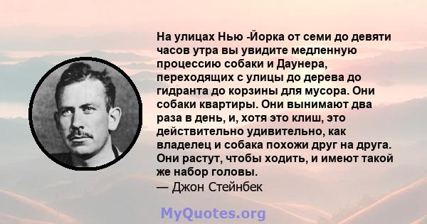 На улицах Нью -Йорка от семи до девяти часов утра вы увидите медленную процессию собаки и Даунера, переходящих с улицы до дерева до гидранта до корзины для мусора. Они собаки квартиры. Они вынимают два раза в день, и,