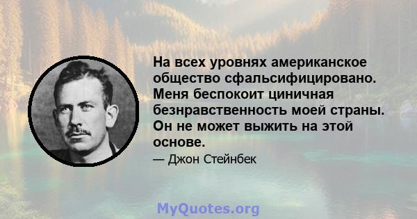 На всех уровнях американское общество сфальсифицировано. Меня беспокоит циничная безнравственность моей страны. Он не может выжить на этой основе.