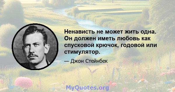 Ненависть не может жить одна. Он должен иметь любовь как спусковой крючок, годовой или стимулятор.