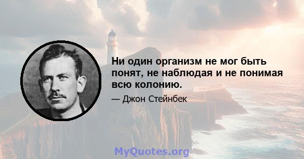 Ни один организм не мог быть понят, не наблюдая и не понимая всю колонию.