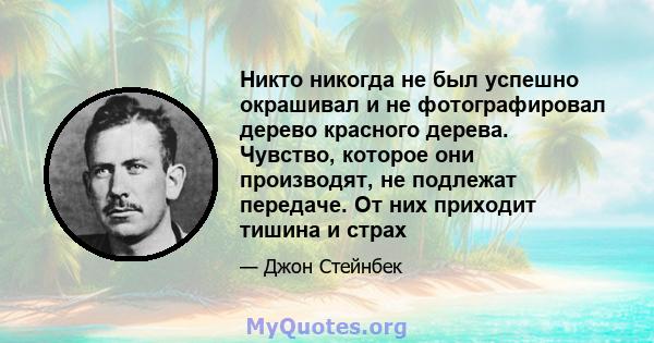 Никто никогда не был успешно окрашивал и не фотографировал дерево красного дерева. Чувство, которое они производят, не подлежат передаче. От них приходит тишина и страх