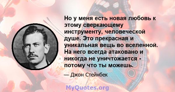 Но у меня есть новая любовь к этому сверкающему инструменту, человеческой душе. Это прекрасная и уникальная вещь во вселенной. На него всегда атаковано и никогда не уничтожается - потому что ты можешь.