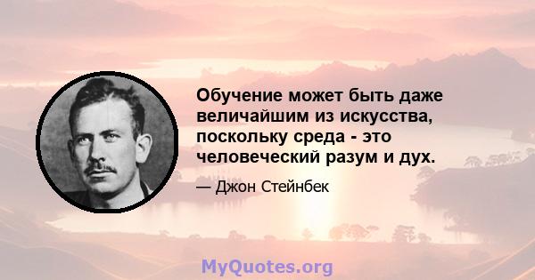 Обучение может быть даже величайшим из искусства, поскольку среда - это человеческий разум и дух.