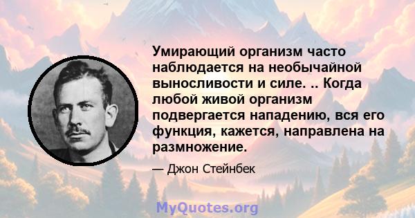 Умирающий организм часто наблюдается на необычайной выносливости и силе. .. Когда любой живой организм подвергается нападению, вся его функция, кажется, направлена ​​на размножение.